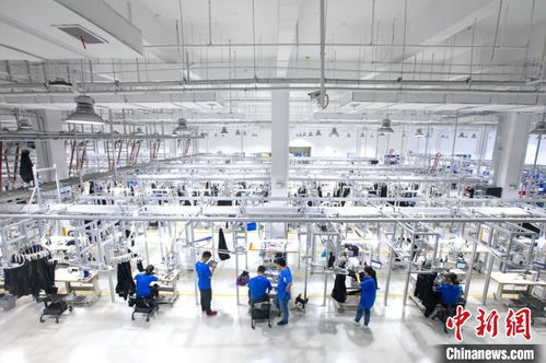 阿里动物园新成员 杭州余杭诞生的数字技术智能服装制造企业