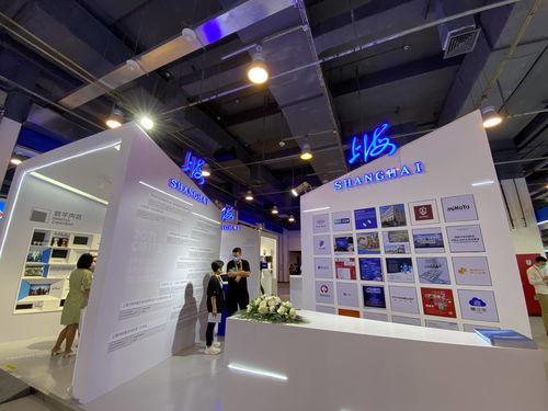 展数字化服务实力 秀数字出海成果 星环科技再次亮相2021服贸会